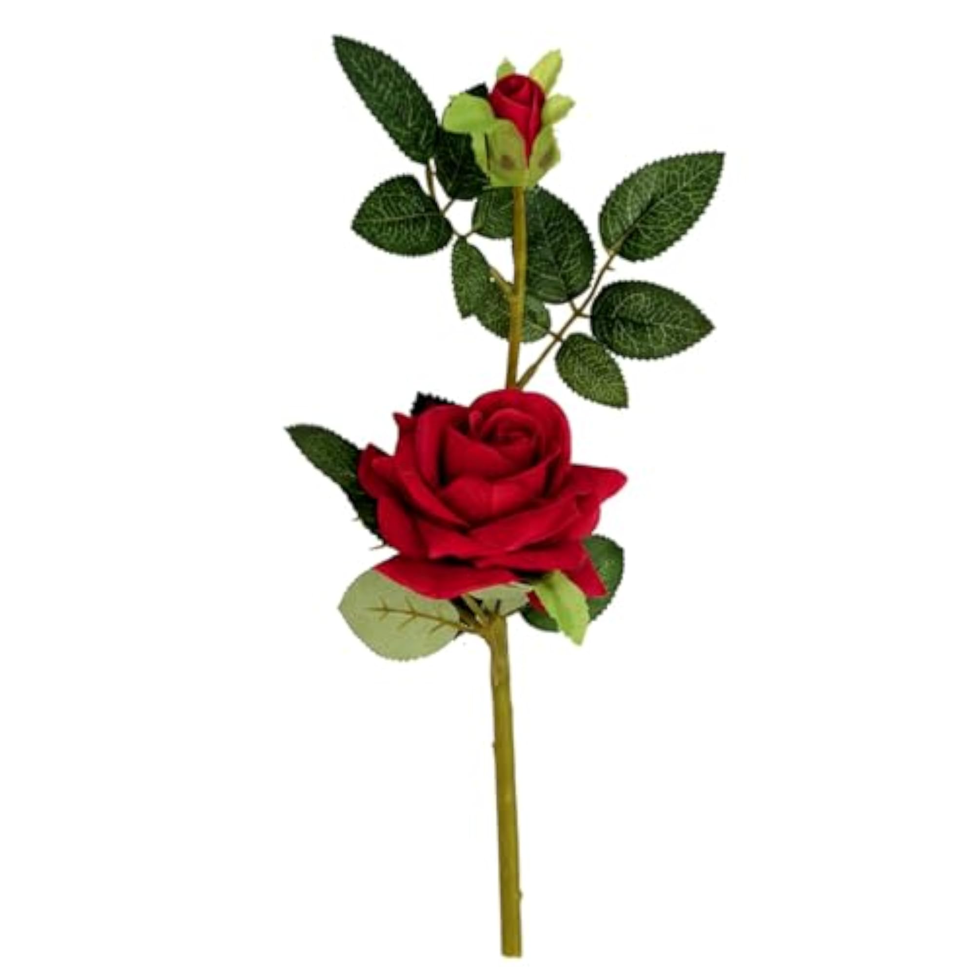 Red Rose Flower Stem for Valentine's Day